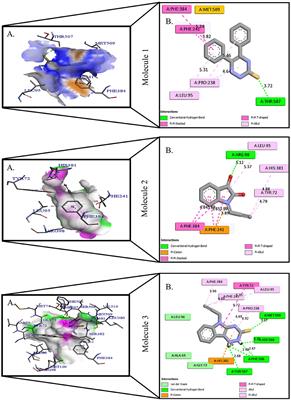 Identification of 1, 2, 4-Triazine and Its Derivatives Against Lanosterol 14-Demethylase (CYP51) Property of Candida albicans: Influence on the Development of New Antifungal Therapeutic Strategies